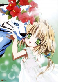 BUY NEW yami to boshi to hon no tabibito - 13965 Premium Anime Print Poster